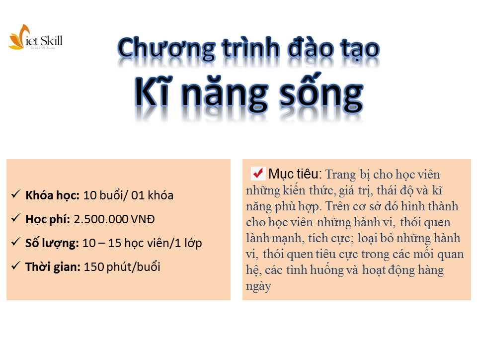 DAO-TAO-KI-NANG-SONG-VIETSKILL-KI-NANG-SONG-CHO-TRE-EM (1).PNG