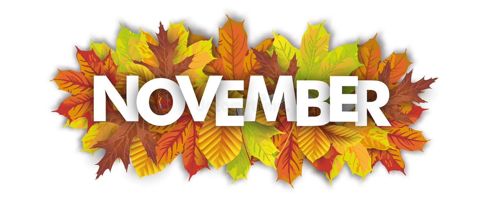 autumn-foliage-november-header-white-background-autumn-foliage-white-background-text-november-102402967.jpg